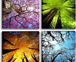 Landscape Color Tree Painting Pictures Prints Nature Forest Artwork Stre... - $41.94