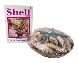 Sea Shells in Round Wicker Basket Nature Decor 10&quot; NEW Philippines &amp; Bonus Book! - £15.90 GBP