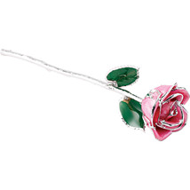 Lacquered Pink Rose with Platinum Trim - £84.70 GBP