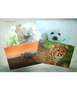 IFAW Wild Animal Note Cards Set of 4 - £4.71 GBP