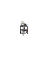 Kantek PS540 REINFORCED SHELVES ACCOMMODATE MOST LASER OR INKJET PRINTER... - $191.35 CAD