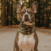 Dog Neck Gaiter, Tubular Dog Bandana, Dog Ear Protection Camouflage Flag 5 Pack - £18.21 GBP