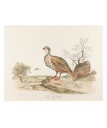 &quot;Red Legged Partridge&quot; by Jerome Troillet Lithograph on Paper Penn Print... - $258.44 CAD
