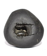 Narayan Shaligram / Narayana Salagram - Gandaki River Nepal - $2,080.91 MXN