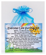 Everyday Life Survival Kit - Fun Thoughtful Caring Sentimental Gift / Keepsake/  - £6.51 GBP