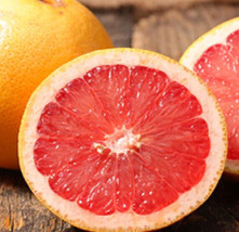 HS 5 Seeds Ruby Red Grapefruit Citrus Tree Fast Growing Juicy Healthy Fruit - £4.36 GBP