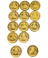 Set of AA Month Medallions Months 1 - 11 1 Year and 24 Hours Sobriety Chips - $19.99