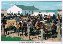 Postcard Mennonite Families Meet Near Kitchener Ontario - £3.09 GBP