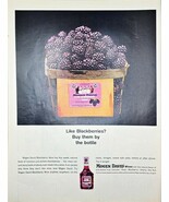 MOGEN DAVID WINES - Blackberries - Buy by the bottle - 1965 Vintage Prin... - €9,70 EUR