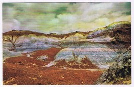 Postcard The Blue Forest In Petrified Forest Arizona - $3.95