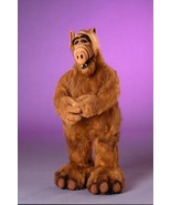 ALF 24x36 inch Poster TV SHOW RARE - $29.99