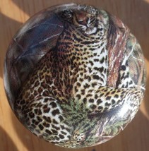Ceramic Knobs Leopard Knob African Wildlife - £4.31 GBP