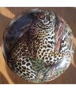 Ceramic Knobs leopard Knob AFRICAN WILDLIFE - €4,69 EUR