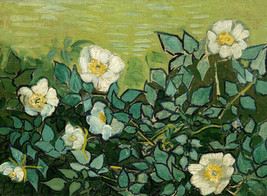 Art Giclee Printed Oil Painting Print Wild rose by Vincent van Gogh Canvas - £8.12 GBP+