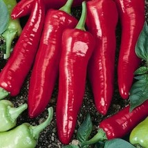 Hatch Big Jim Pepper 100 Seeds Free Shipping - $75.58 MXN