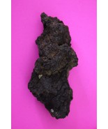 Giant Lizard Poop 5 Million Years Old Coprolite Genuine Fossil Dino Girl... - $29.99