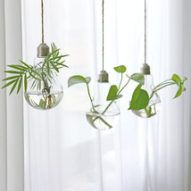 Hanging Glass Vase Bulbs Plant Hydroponic Vase Flower Apparatus for Mode... - £16.77 GBP+