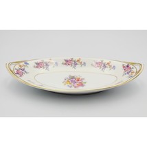 RARE MAGNIFICENT BOHEMIA FLORADORA CZECH VEGETABLE SERVING Plate 10&quot; x 4.5&quot; - £21.83 GBP