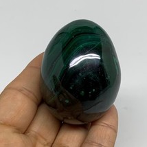 201g, 2.2&quot;x1.7&quot;, Natural Solid Malachite Egg Polished Gemstone @Congo, B32768 - £126.60 GBP