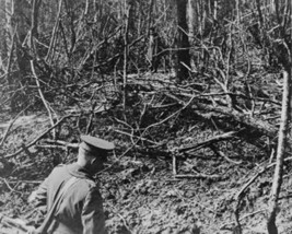 Shell Holes at Belleau Forest after battle 1918 New World War I WWI 8x10... - £6.91 GBP