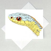 Garter Snake Note Cards - $4.00+