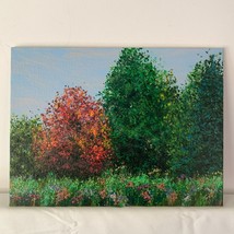 Nature&#39;s Beauty Acrylic on Canvas Landscape Painting in Size  6&quot; x 8&quot; by Deb Bos - £38.93 GBP