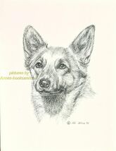#19 CORGI portrait  *  dog art print * Pen and ink drawing * Jan Jellins - $12.50