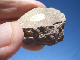 Jtl: Jurassic Todilto Limestone Uranium 53,000. Cpm 0.6 Oz. $28.00 +$9.00 s/h - £22.38 GBP
