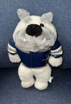 Vintage 1998 Dallas Cowboys 12” Plush Bulldog Ace ACME NFL Football Jersey - $11.99