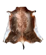 Blesbok Skin, Antelope Skin, Deer skin ~Size: 4&#39;X3&#39; African Antelope Buc... - $1,635.69 MXN