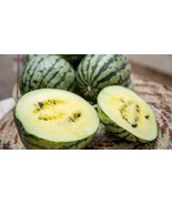 50+ Cream Of Saskatchewan Watermelon Seeds - $10.96