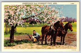 Postcard Greetings From Forrest City Arkansas Farmer With Two Horses And Plow - £3.93 GBP