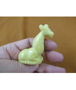 (Y-GIR-SI-706) yellow sitting GIRAFFE carving FIGURINE gemstone I love g... - $321.66 MXN