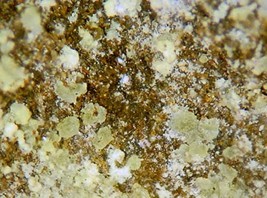 CEJKAITE - Rich Miniature - Apex Mine, Lander County, NEVADA - €258,02 EUR