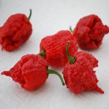 USA SELLER 2R9D8 Hot Pepper Seeds 100 Seeds Carolina Reaper Chili Pepper - £32.20 GBP