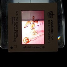 The Crown Jewels Ampulla and Anointing Spoon CJ5 VTG 35mm Found Slide Photo - £7.44 GBP