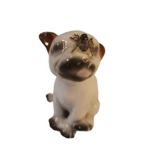 Rare Porcelain French Bulldog Fly on Face White Black Brown Vtg 2.25&quot;t R... - $17.72