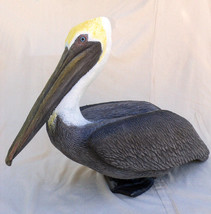 Lifesize Pelican Statue Sitting, head up : [31 inches Long x 13w x 21h] - £277.38 GBP