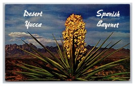 Desert Yucca In Bloom UNP Unused Chrome Postcard V23 - £1.51 GBP