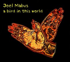 A Bird in This World by Joel Mabus (CD-2015) NEW - £17.07 GBP