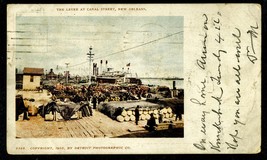 1903 New Orleans LA POSTCARD Levee Canal Street Detroit Photographic Co Antique - £15.17 GBP