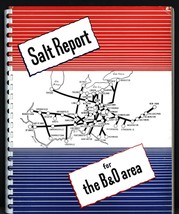 Salt in the Area Served by The Baltimore and Ohio Railroad - £18.65 GBP