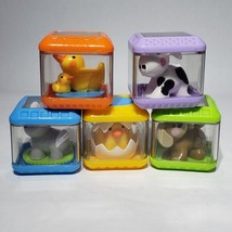 Lot of 5 Fisher Price Peek A Boo Shape Sorter 2&quot; Square Replacement Blocks - $14.95