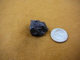 (x262-427) 13 g Campo del Cielo meteorite 1576 octahedrite fragment spec... - $29.91