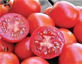 120 Siberian Tomato Seeds Heirloom Organic Non GmofreshFrom US  - $8.35