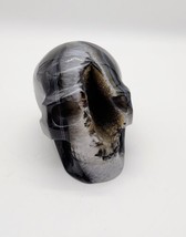 Black Agate Skull, Large Unique Skull, Protection, Wisdom, Meditation Ge... - $148.49