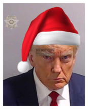 President Donald Trump Mugshot Wearing Christmas Hat 8X10 Photo - £6.67 GBP