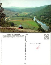 New York(NY) Catskill Mountains Hillside View River Fields Vintage Postcard - £7.34 GBP
