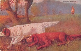 The Open SEASON-HUNTING-SETTER Dogs POINT-1900s Artist Postcard - £4.68 GBP