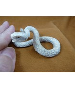 snake-w6 coiled Rattlesnake of shed ANTLER figurine Bali detailed rattle... - £118.37 GBP